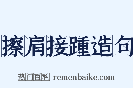 擦肩接踵造句是什么意思的图片